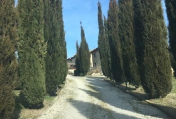 Umbertide – Three-Bedroom Apartment in Country House with Pool (Ref. 05u) 15