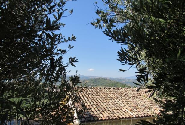 Panoramic spot to build a 100sqm villa with 3000sqm of olive grove, views of the mountains and a distant lake. 6