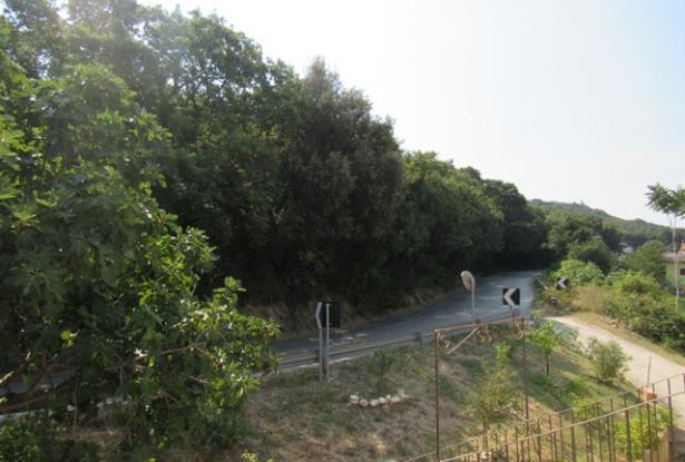 1 mile to the Trabocchi coast, recently renovated, in the woods of a natural reserve with amazing sea views. 8