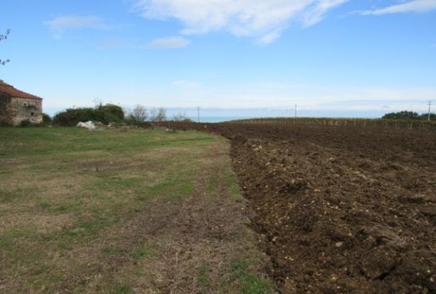 36,000 sqm of land with 120sqm barn and amazing sea views and building rights 1km to the beach. 0