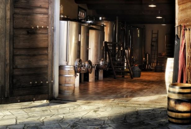 The Cellar