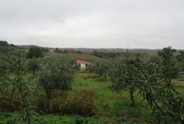 Rough 200sqm skeleton 1km to the city center, peaceful, 5 bedrooms 500sqm of garden. 2