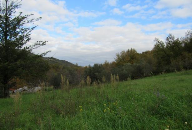 9,000 sqm of land with 2 bedroom, habitable house close to tourist attractions. 0