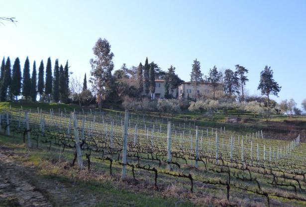 HISTORICAL VILLA WITH WINERY 6