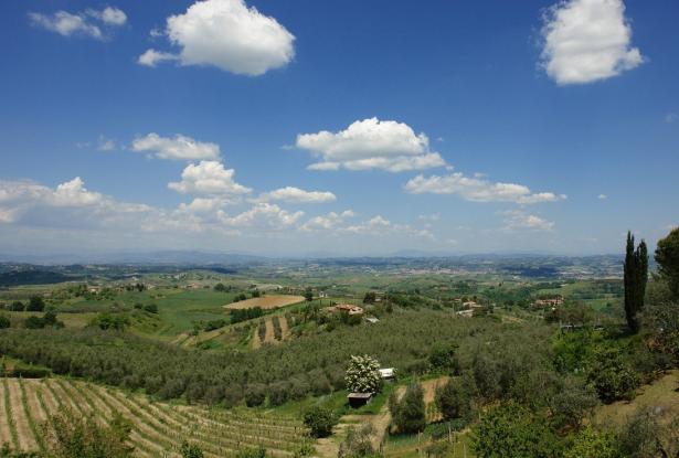 Wonderful Walk distance farmhouse with vineyard 28