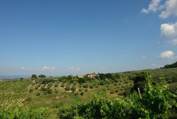 Wonderful Walk distance farmhouse with vineyard 29