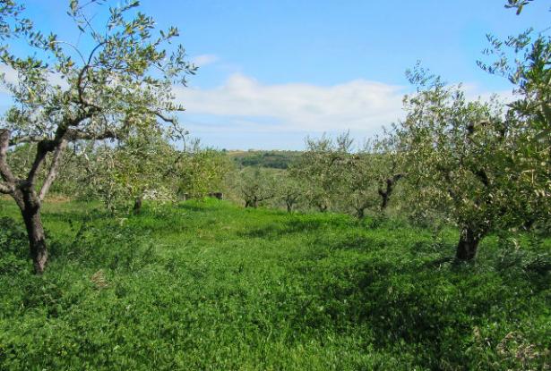 Building land of 1200sqm for a 100sqm Villa with sea and mountain view 1