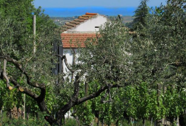 Building land of 1200sqm for a 100sqm Villa with sea and mountain view 6