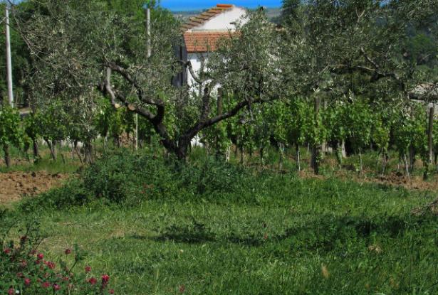Building land of 1200sqm for a 100sqm Villa with sea and mountain view 7