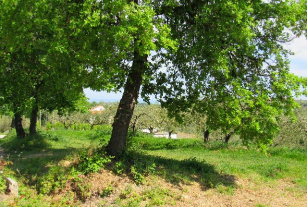 Building land of 1200sqm for a 100sqm Villa with sea and mountain view 12