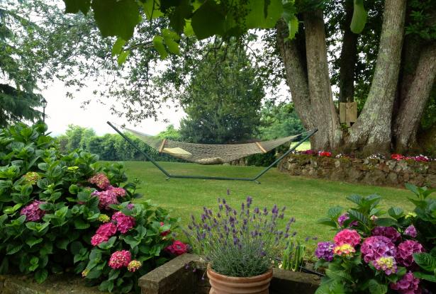 The side yard The side yard