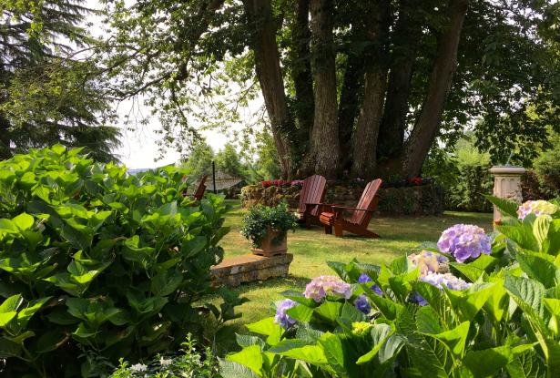 Side lawn with 250 yr old chestnut tree Side lawn with 250 yr old chestnut tree