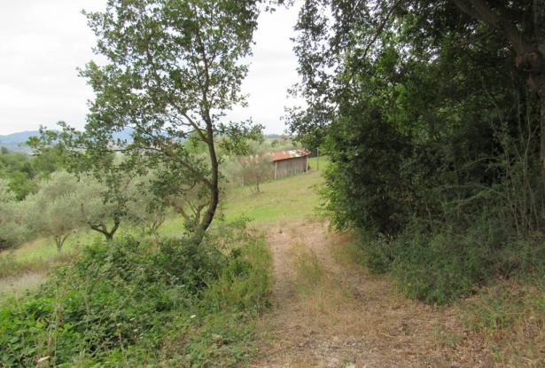 Building plot near Casoli, Abruzzo
