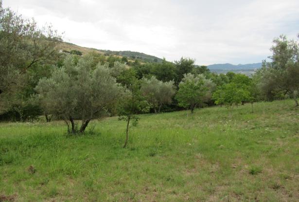 Building plot near Casoli, Abruzzo