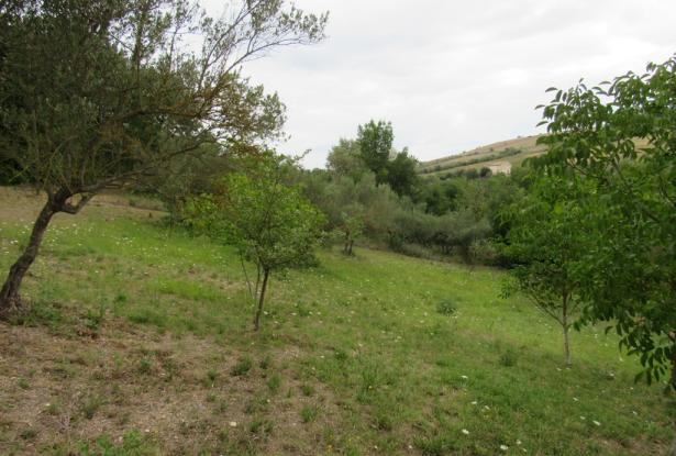 Building plot near Casoli, Abruzzo