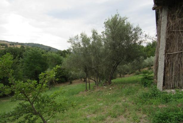 Building plot near Casoli, Abruzzo