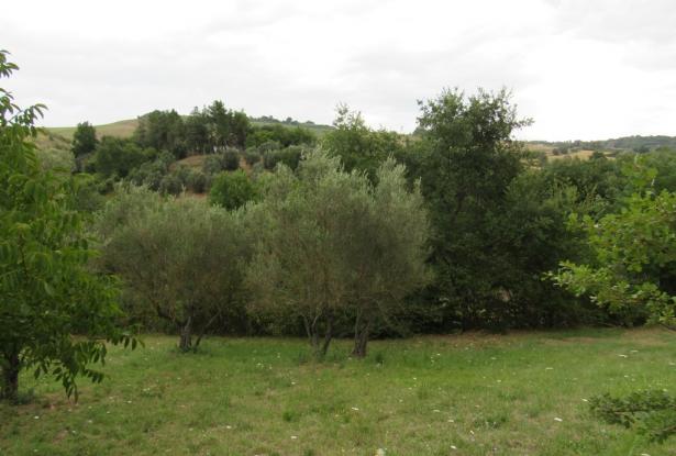 Building plot near Casoli, Abruzzo