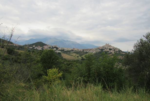 Building plot for a Villa of 120sqm, 5000sqm of flat olive grove, peaceful location and beautiful views  14
