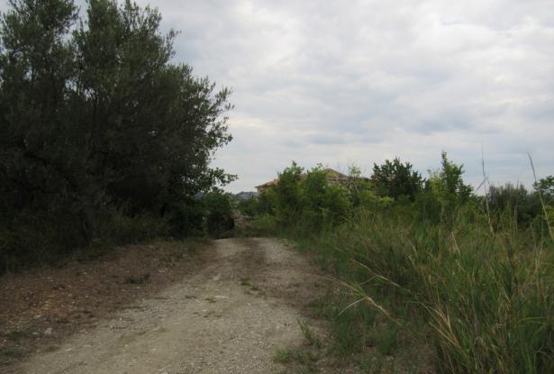 Building plot for a Villa of 120sqm, 5000sqm of flat olive grove, peaceful location and beautiful views  15