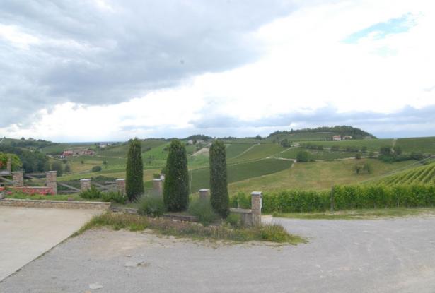 country house for sale in Dogliani / Langhe country house for sale in Dogliani / Langhe