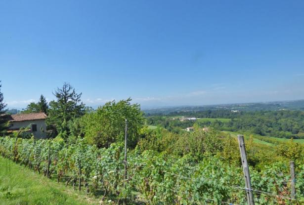 country house for sale in langhe area country house for sale in langhe area