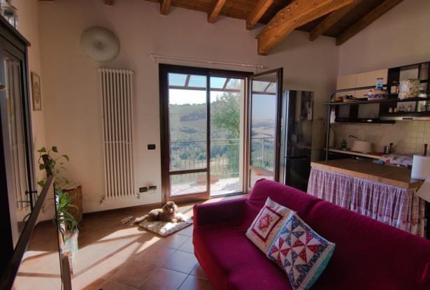 Zocca, ground floor flat with garden 9