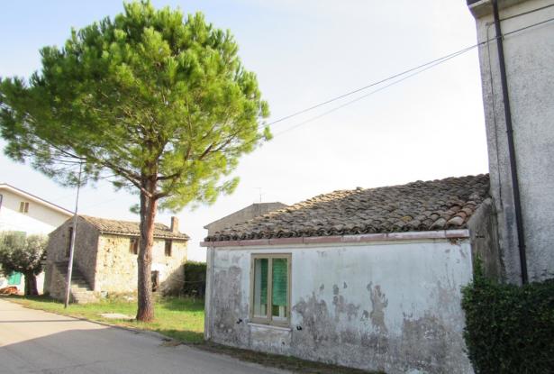 Countryside single floor cottage with 800sqm of garden with olives 2km to historic Crecchio. 2