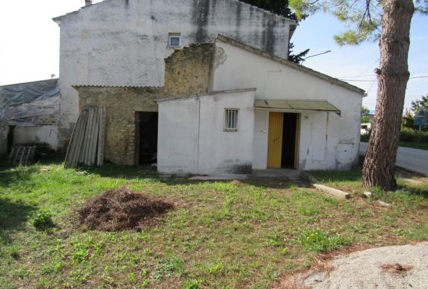 Countryside single floor cottage with 800sqm of garden with olives 2km to historic Crecchio. 4