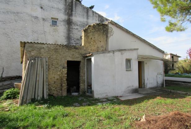 Countryside single floor cottage with 800sqm of garden with olives 2km to historic Crecchio. 5