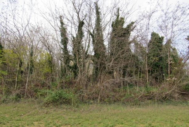 Detached, countryside stone property with easy access, 500sqm of garden, barn and 1km to town. 0