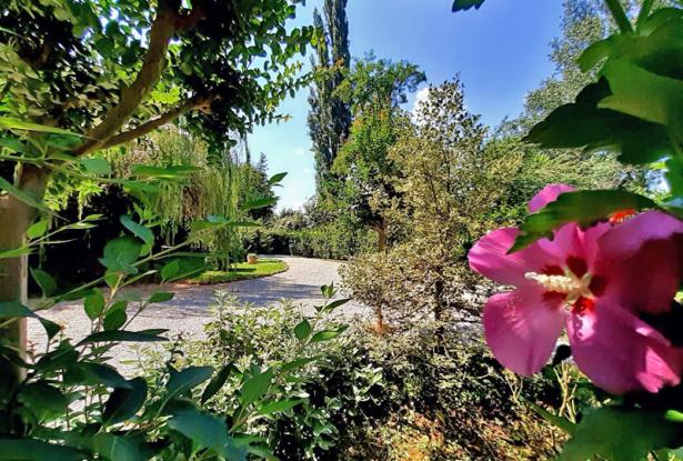 Exquisite Langhe country estate, with park / ALN022 34