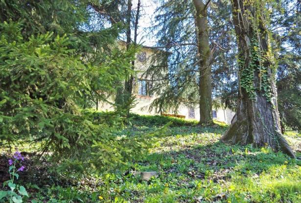 Exquisite Langhe country estate, with park / ALN022 35
