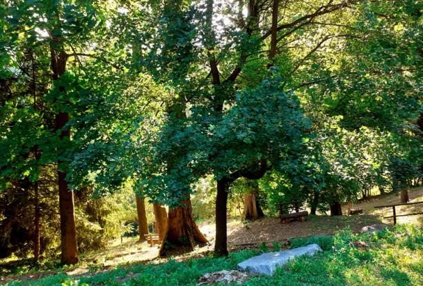 Exquisite Langhe country estate, with park / ALN022 36