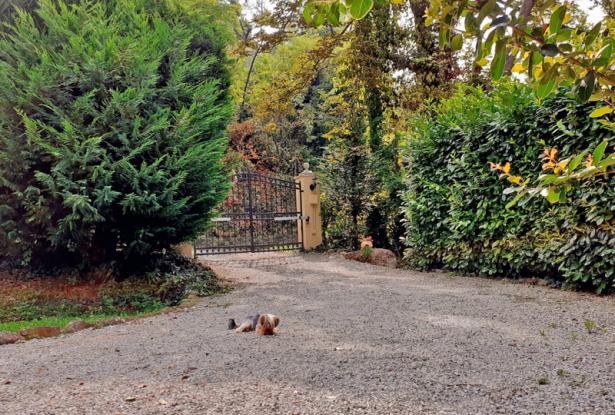 Exquisite Langhe country estate, with park / ALN022 22