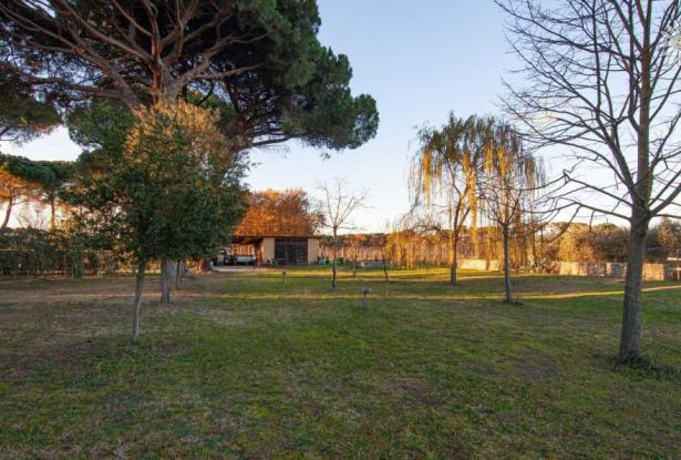 Stone farmhouse with large park, Castiglione del Lago Rif. CDL6121M 23