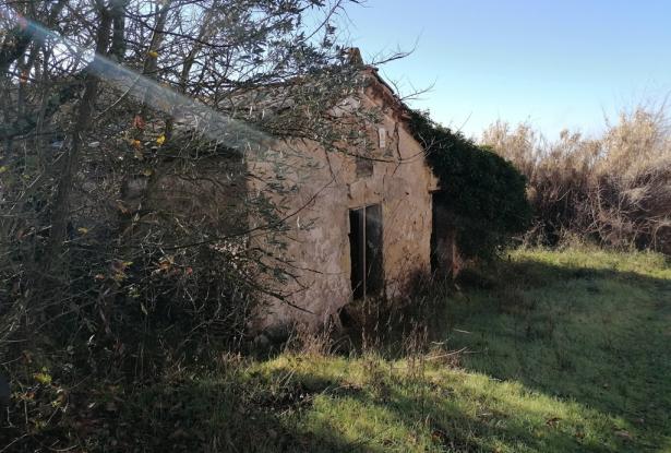 Farmhouse and outbuildings to restore 1