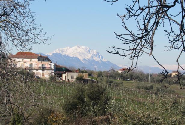 Farmhouse, detached and habitable, with 1700sqm of flat land, terrace and barn, amazing views, 15 minutes to the beach. 1