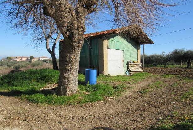 Farmhouse, detached and habitable, with 1700sqm of flat land, terrace and barn, amazing views, 15 minutes to the beach. 4