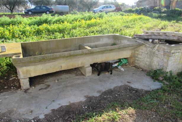 Farmhouse, detached and habitable, with 1700sqm of flat land, terrace and barn, amazing views, 15 minutes to the beach. 8