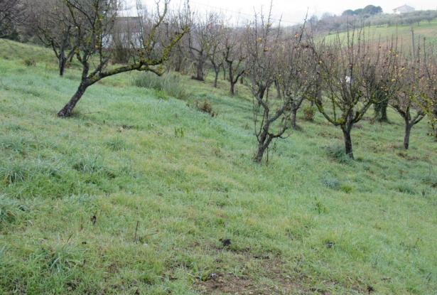 Detached, country house with 2 bedrooms and 3000sqm of land, 300 meters to the town, 2km to the beach in a quiet spot with amazing views. 6