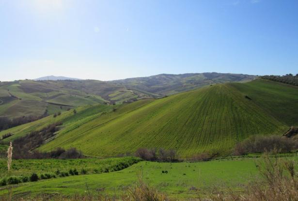 Detached, renovated farm house, barn and 9000sqm of land in the peaceful hills around Atessa city. 9