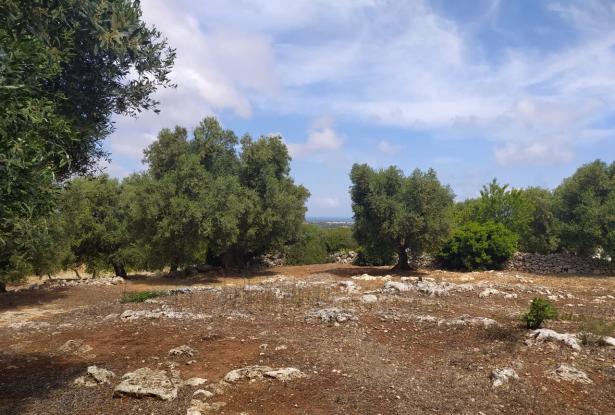 Sea-view plot of land with planning permit. 2