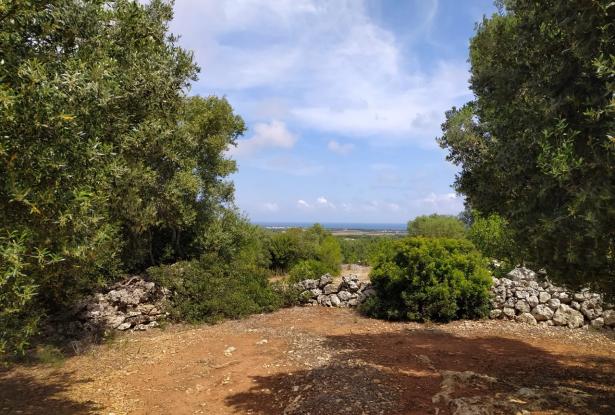 Sea-view plot of land with planning permit. 4