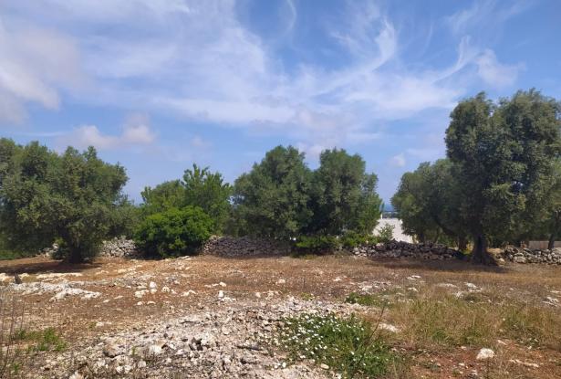 Sea-view plot of land with planning permit. 5