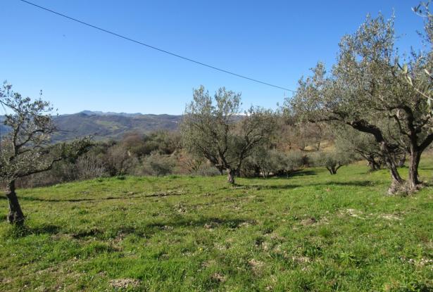 Detached, habitable countryside house with 3 bedrooms, garage and garden in a tranquil picturesque spot. 1