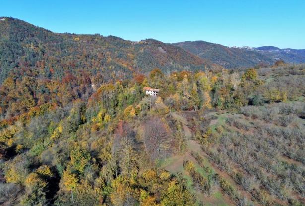 FARMHOUSE FOR SALE IN LANGHE AREA FARMHOUSE FOR SALE IN LANGHE AREA
