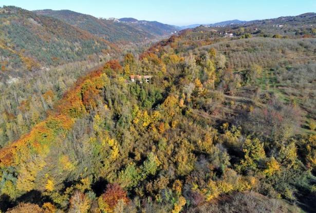 FARMHOUSE FOR SALE IN LANGHE AREA FARMHOUSE FOR SALE IN LANGHE AREA