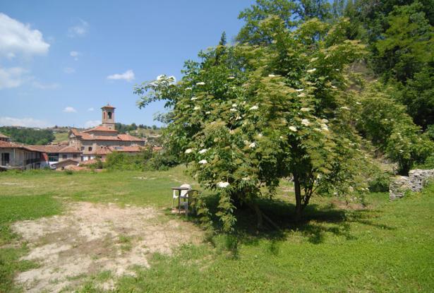 country house for sale in langhe area country house for sale in langhe area