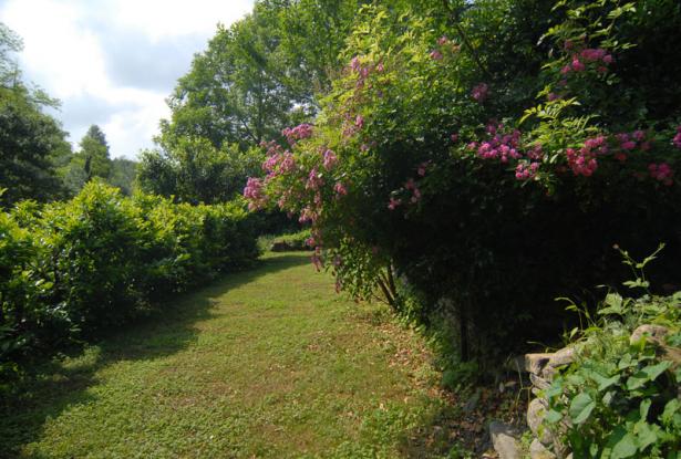 country house for sale in langhe area country house for sale in langhe area