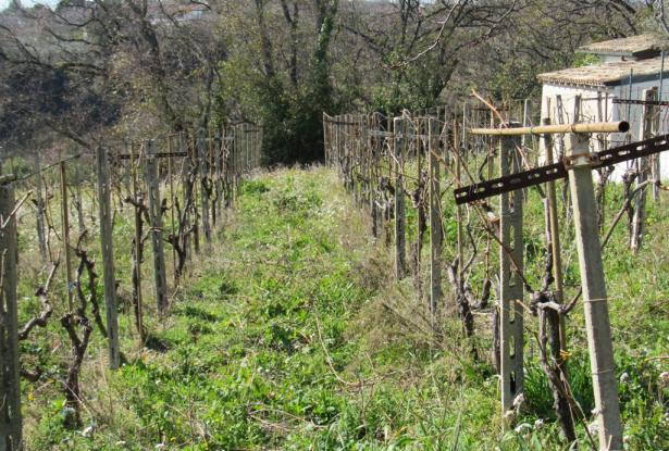 ref. n2818 Partially restored, 200 year old farm house of 450sqm with 5 hectares, sea and mountain views full of character. 13